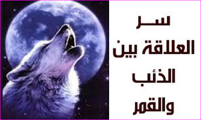 هل يوجد علاقة بين الذئب والقمر