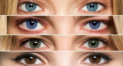 تحليل الشخصية من شكل العيون
