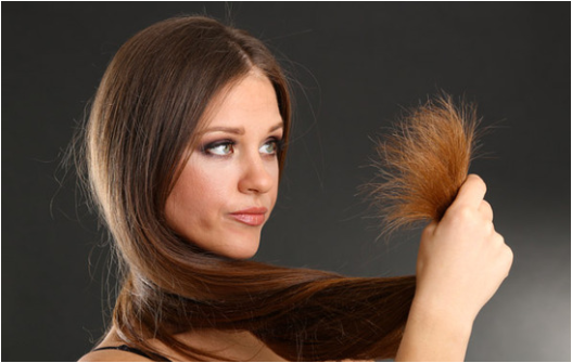 وصفات لعلاج تقصف الشعر