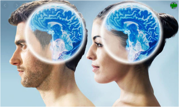 الفرق بين دماغ الرجل ودماغ المرأة %D8%A7%D9%84%D8%AA%D9%82%D8%A7%D8%B7%D9%83%D9%83%D9%83%D9%83