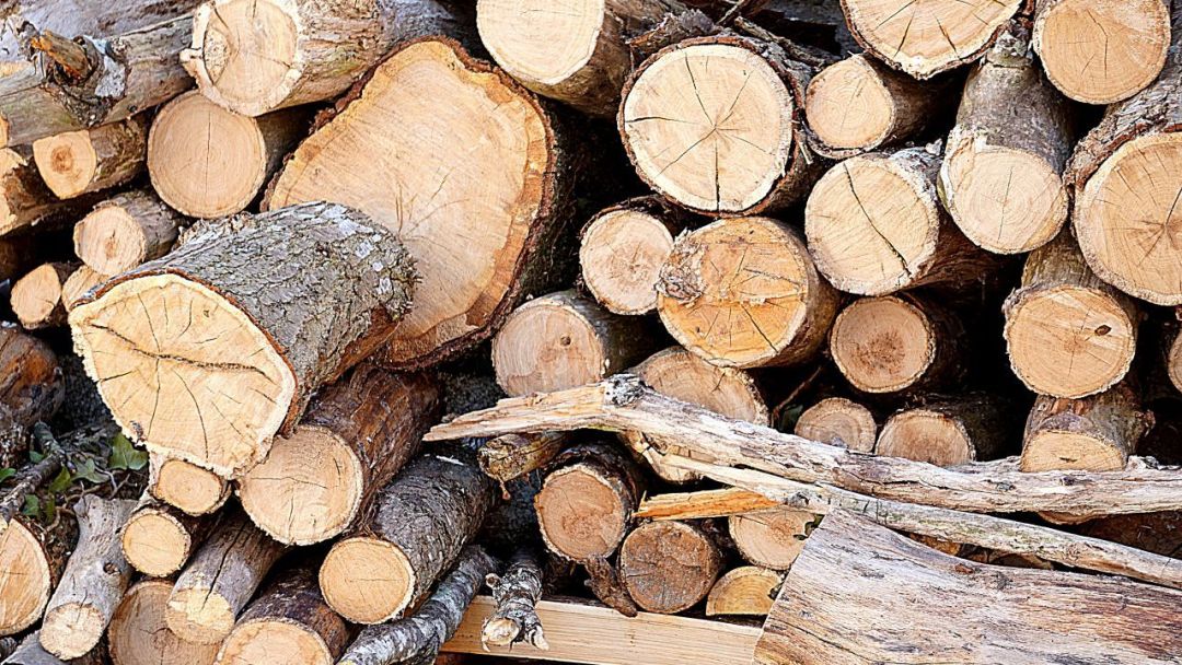 أجود أنواع الخشب لصناعة الاثاث