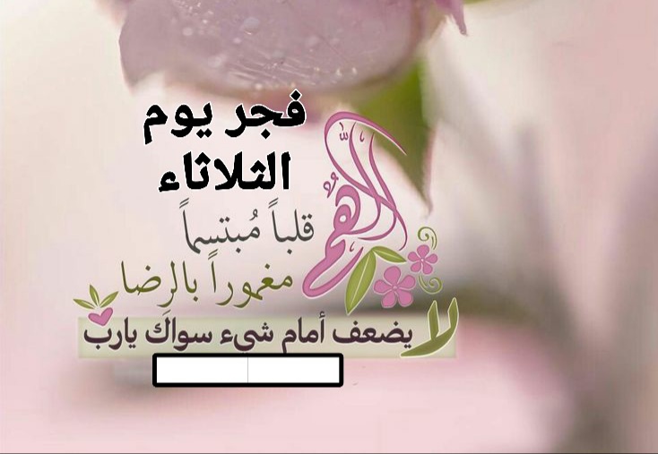 دعوه فجريه مع دعاء الفجر اليوم الثلاثاء ، صور دعاء صلاة الصبح يوم الثلاثاء , دعاء صباح اليوم