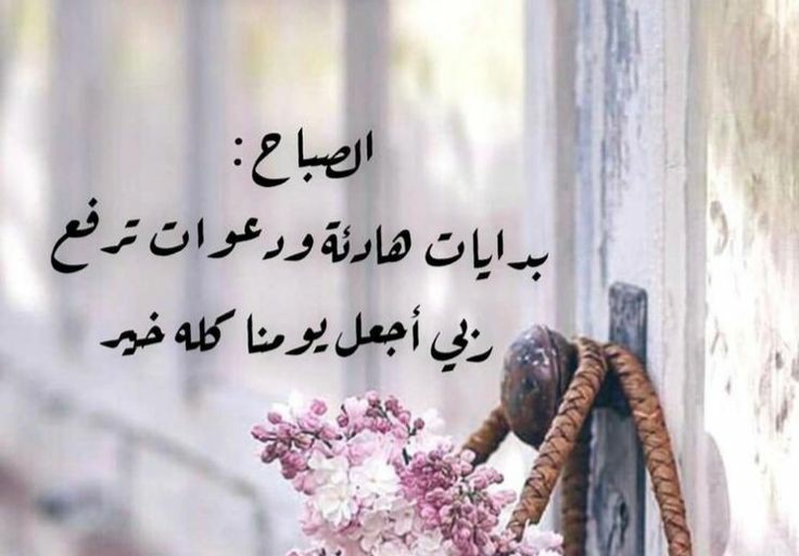 الاربعاء الجميل صباح الخير ، صباحيات ، دعاء صباح الخير ، صباح الياسمين