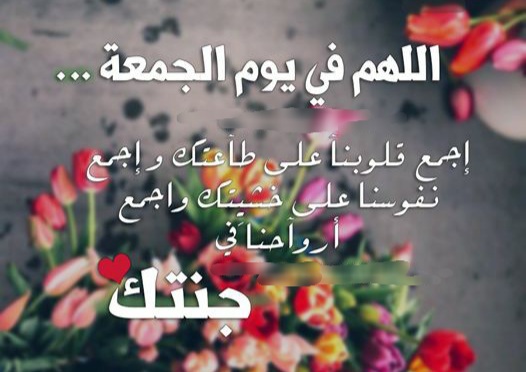 جمعة مباركة للاحبة 2023 دعاء يوم الجمعة ، جمعة مباركة معطرة بذكر الله ، جمعة مباركة بالدعاء