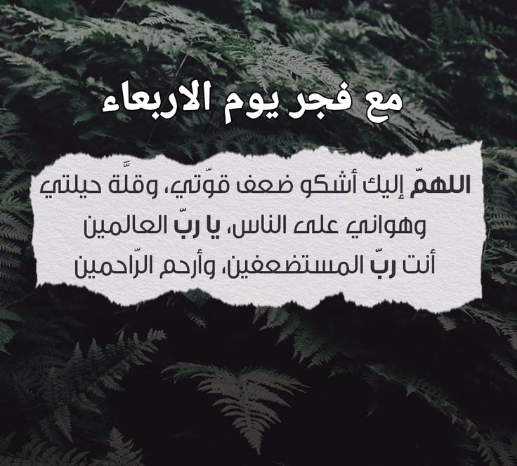 دعاء الفجر للاحبة